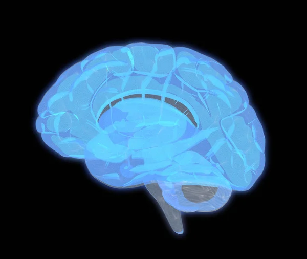 Exploración Gráfica Cerebral Humana Vista Lateral Aislada Sobre Fondo Oscuro — Foto de Stock