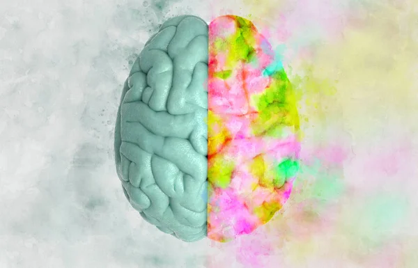3D human brain rendering in top view with left and right concept in watercolor style on light color background