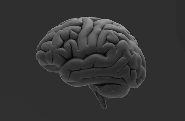 Czarny Renderowania Ludzki Mózg Białym Tle Ciemnoszarym Tle Ścieżką Przycinającą — Zdjęcie stockowe