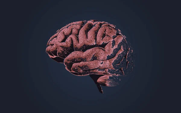 Hjärnneuro Celltillväxt Eller Skadlig Ritning Med Konsistens Skuggning Illustration Isolerad — Stock vektor