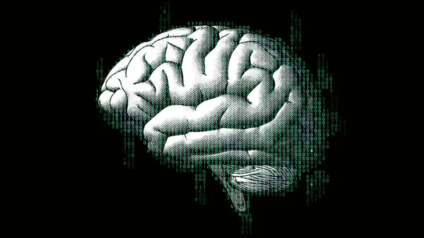 バイナリ デジタル コード 輝く緑の色暗い背景に分離の概念と脳側ビュー — ストックベクタ