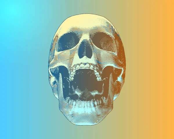 Incisione Multi Colore Cranio Illustrazione Urlo Sfondo Rampa Blu Giallo — Vettoriale Stock