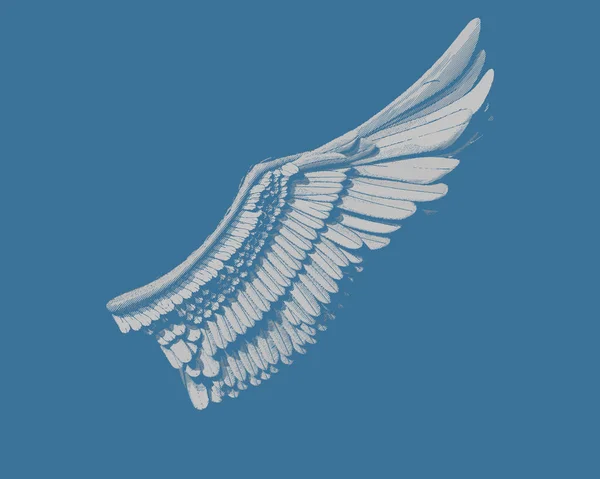 Vleugel Gravure Tekening Grijze Kleur Illustratie Geïsoleerd Donker Blauwe Achtergrond — Stockvector