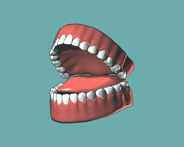 Gravyr tand och tuggummi illustration på Green BG — Stock vektor