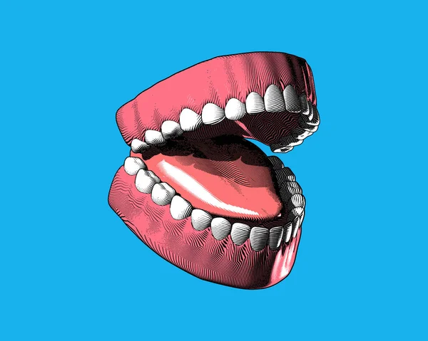 Grabado de dientes y encías ilustración en azul BG — Vector de stock