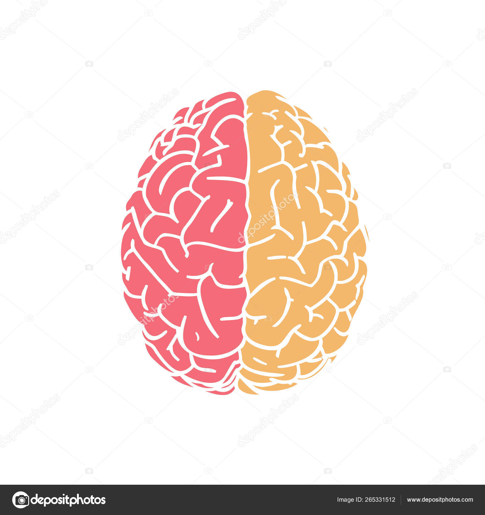 Red and yellow brain icon on white BG Stock Vector by ©Jolygon