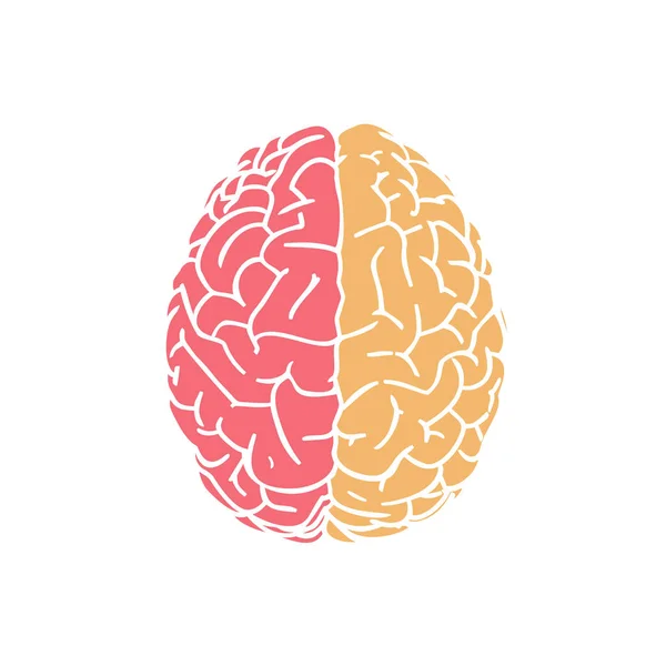Ícone do cérebro vermelho e amarelo no branco BG —  Vetores de Stock