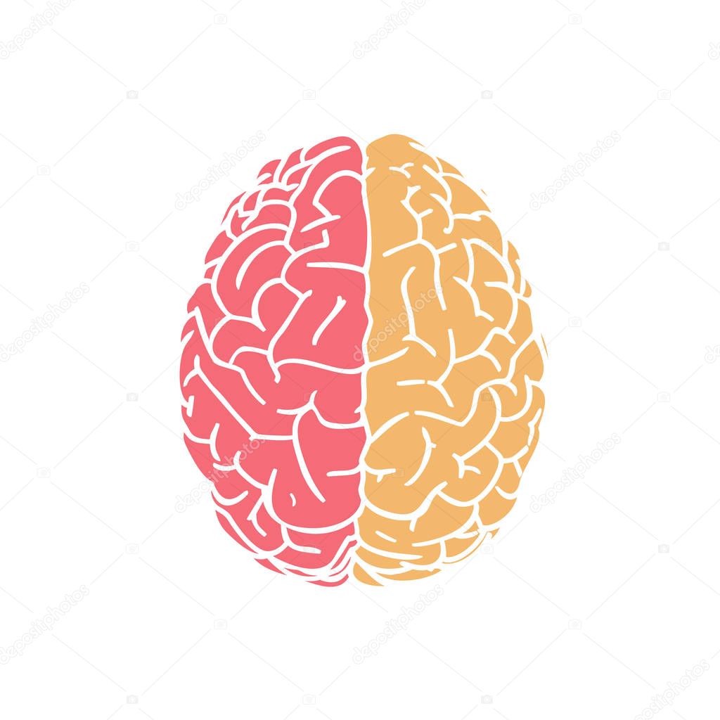 Red and yellow brain icon on white BG