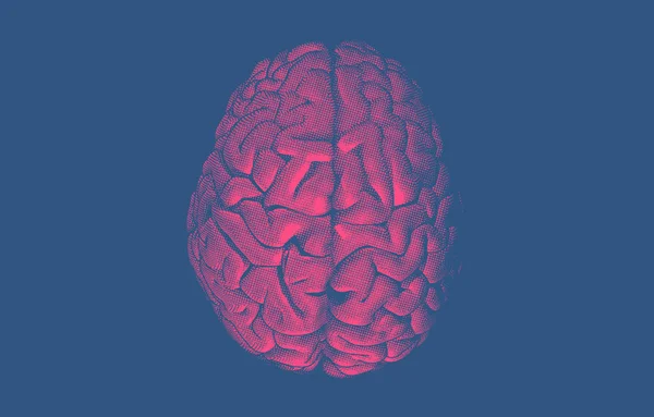 Gravyr ritning mänsklig hjärna på Blue BG — Stock vektor