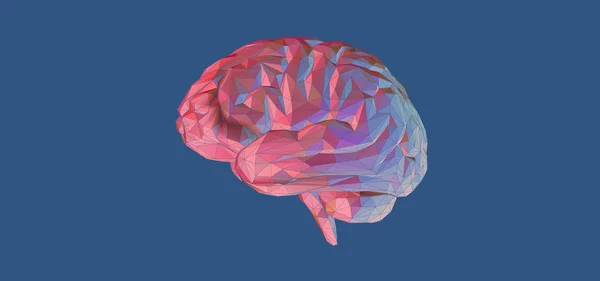 Ilustração cerebral poligonal isolada em azul BG — Vetor de Stock