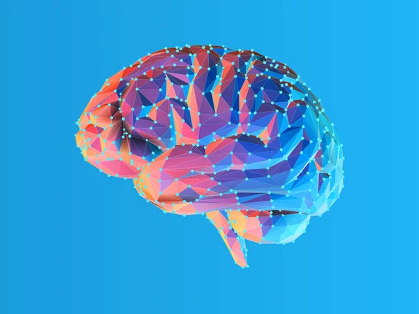 Ilustrasi otak poly rendah diisolasi pada BG biru - Stok Vektor