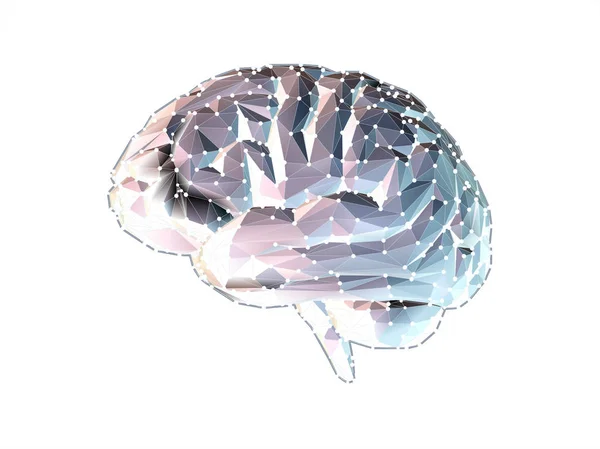 Ilustração cerebral poligonal isolada em BG branco — Vetor de Stock