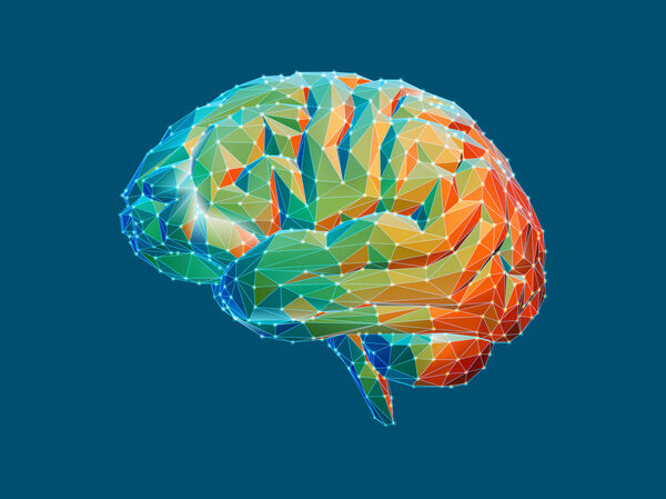 Low poly brain illustration isolated on green BG