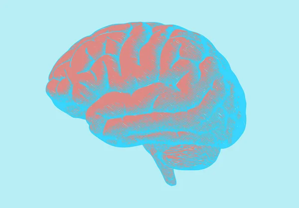 Vermelho gravura cérebro humano em azul claro BG — Vetor de Stock