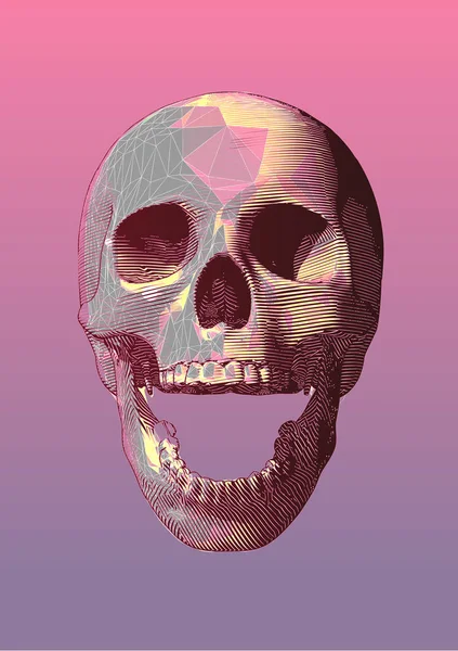 Gravure van kleurrijke laag poly schedel vector illustratie geïsoleerd o — Stockvector