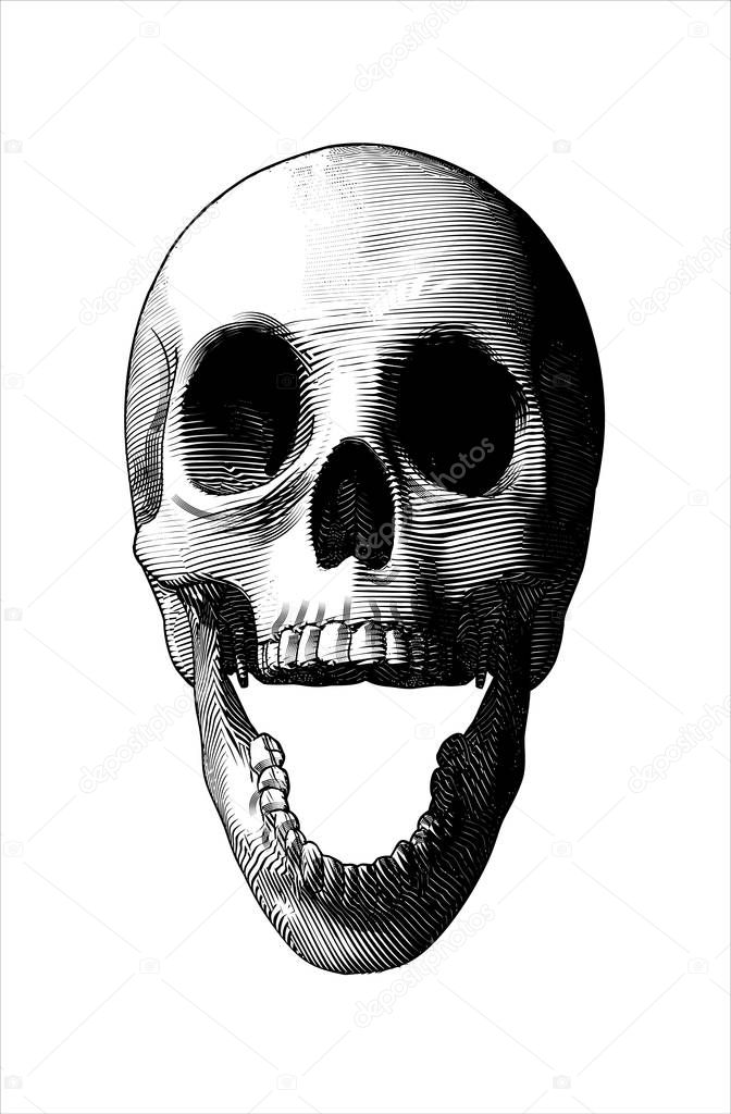 Engraving drawing screaming skull illustration isolated on white
