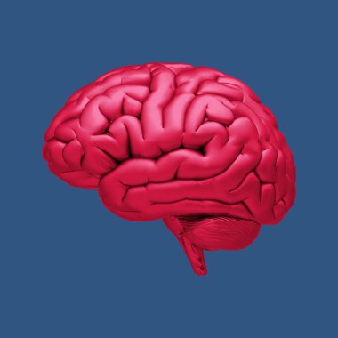 3D gloss red human brain rendering illustration isolated on deep blue background with clipping path for use on any backdrop clipart