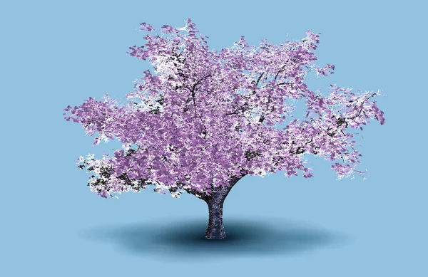 Rosa Körsbär Blomma Träd Graverad Teckning Vektor Illustration Isolerad Blå — Stock vektor