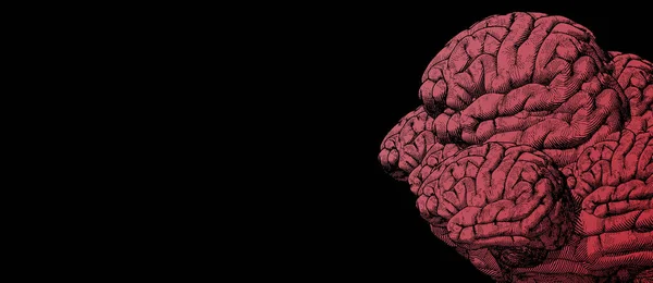 テキストコピーのための空白のスペースと黒の背景に人間の頭の形のイラストで多くの人間の脳の明るい赤の彫刻図面 — ストックベクタ