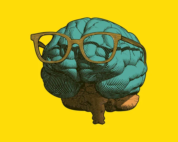 Gravure Rétro Verte Cerveau Humain Avec Des Lunettes Illustration Vue — Image vectorielle