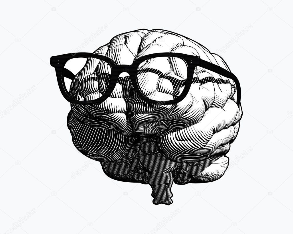monochrome retro engraving human brain with black old glasses illustration in front view isolated on white background