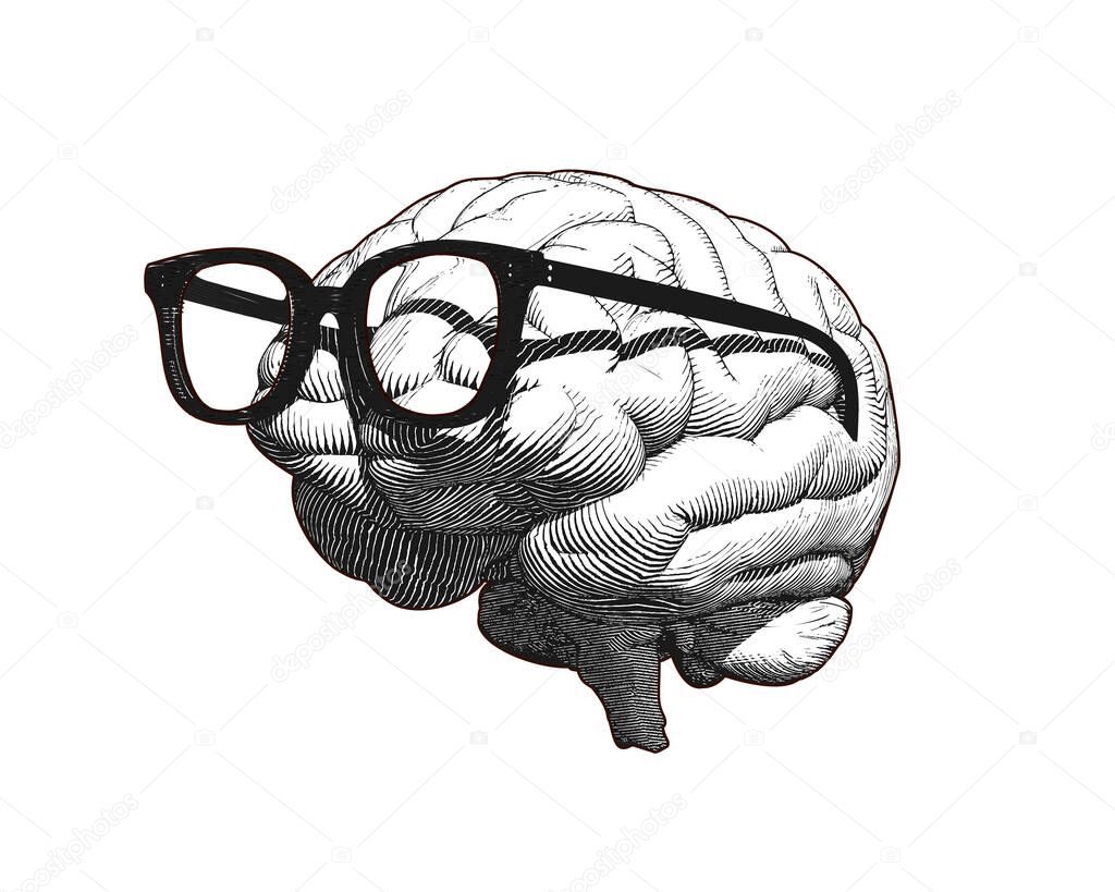 Monochrome retro engraving human brain with old retro glasses illustration in side view isolated on white background