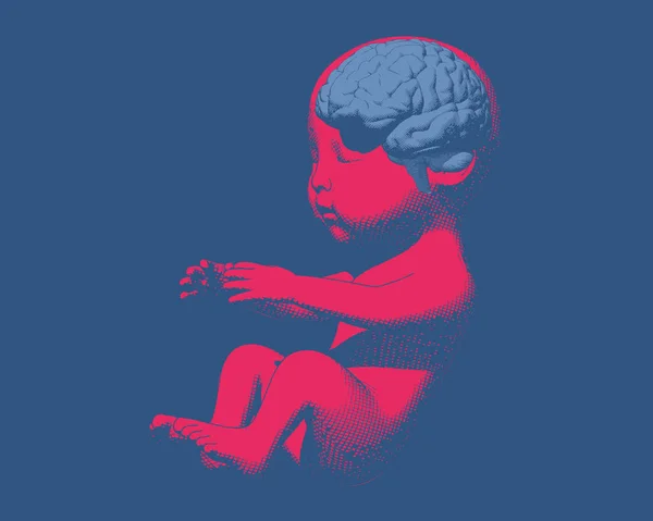 Açık Mavi Beyin Oymalı Parlak Kırmızı Bebek Bebek Fetüsü Koyu — Stok Vektör