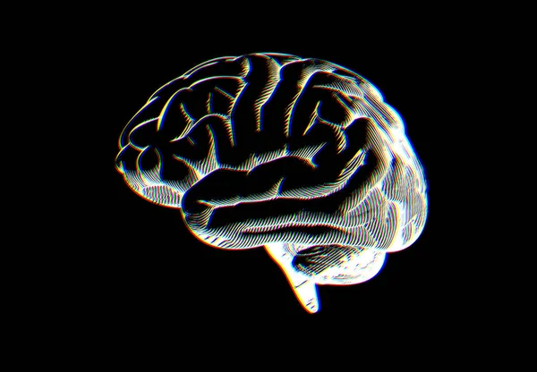 Negativ Vit Gravyr Mänsklig Hjärna Ritning Sida Visa Illustration Isolerad — Stock vektor