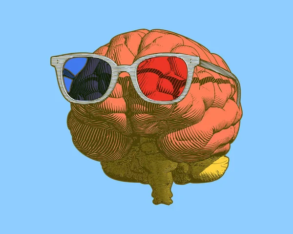 Pastel Retro Engraving Human Brain Retro Glasses Illustration Front View — Stock Vector