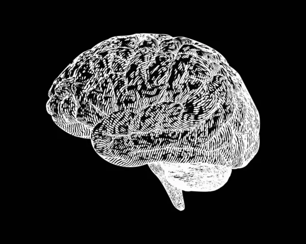 Vista Lateral Del Cerebro Grabado Negativo Monocromático Ilustración Estilo Xilografía — Vector de stock