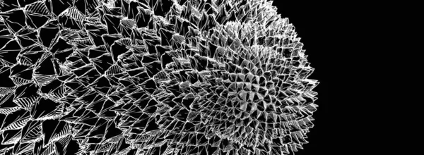 Αρνητική Λευκή Χάραξη Σχέδιο Spiky Φρούτα Ντούριαν Μοτίβο Σπιράλ Μαύρο — Διανυσματικό Αρχείο