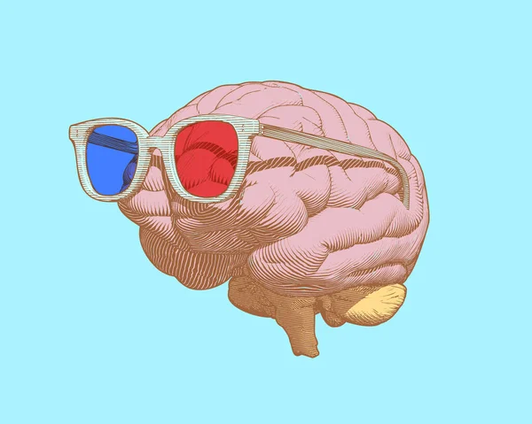 Pastel Rétro Pop Art Gravure Cerveau Humain Avec Des Lunettes — Image vectorielle