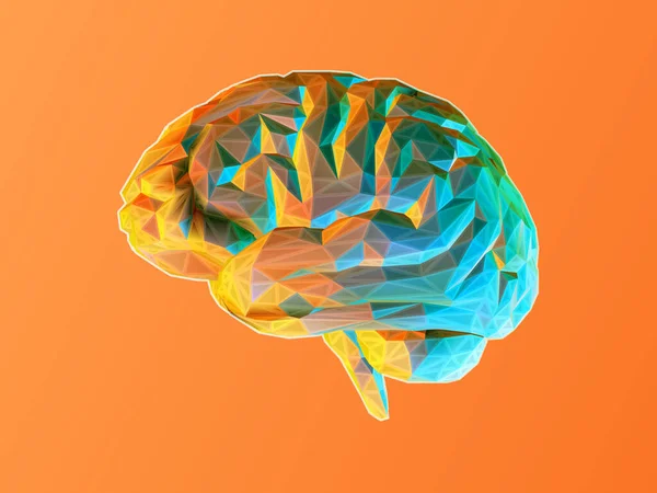 Ilustración Cerebro Polivinílico Bajo Colorido Estilizado Con Marco Alambre Sobre — Vector de stock