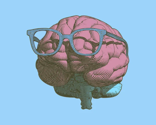 Gravure Rétro Pastel Cerveau Humain Avec Des Lunettes Illustration Dans — Image vectorielle