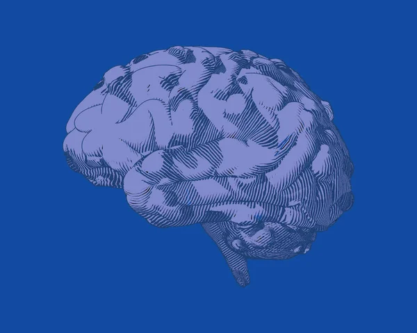 Фиолетовый Винтажная Гравировка Болезни Мозга Иллюстрация Изолированы Синем Фоне — стоковый вектор