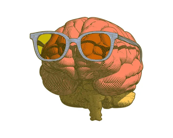Pastel Retro Engraving Human Brain Sun Glasses Illustration Front View — Stock Vector