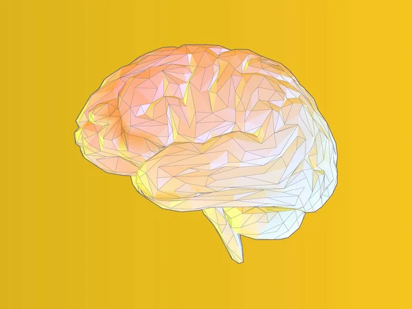 Ilustración Estilizada Del Cerebro Humano Amarillo Poligonal Con Línea Triangulada — Vector de stock