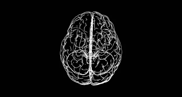 Cérebro Humano Giz Branco Visão Superior Linha Vetorial Borda Doodle — Vetor de Stock