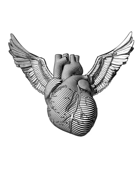 Monokrom Ukiran Kuno Hati Manusia Dengan Ilustrasi Sayap Malaikat Terisolasi - Stok Vektor
