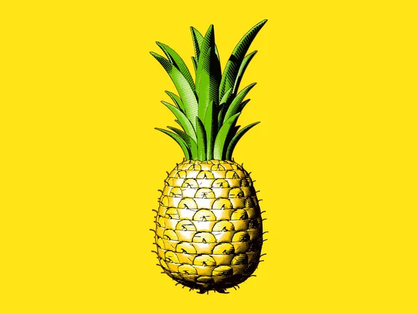 Färgglada Gravyr Ritning Ananas Illustration Isolerad Ljust Gul Bakgrund — Stock vektor