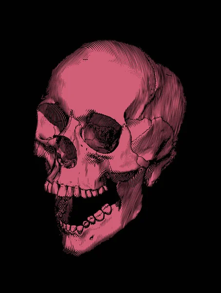 モノクローム明るい赤エングレービングドローイング人間の頭蓋骨を開く顎の遠近法黒の背景に隔離されたビュー — ストックベクタ