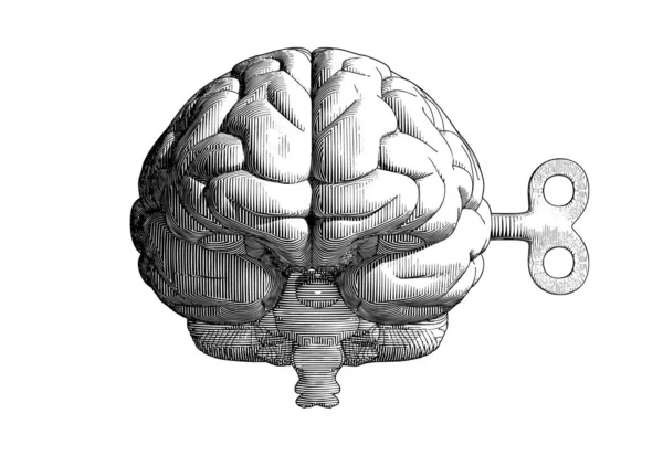 Gravura Monocromática Vintage Desenho Cérebro Humano Com Chave Vento Frente — Vetor de Stock
