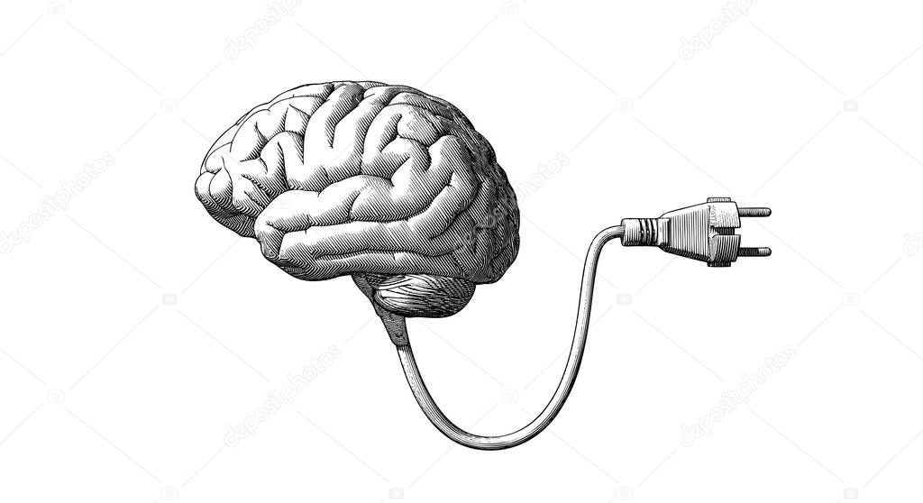 Monochrome vintage engraving drawing human brain connected with electric plug cable illustration isolated on white background