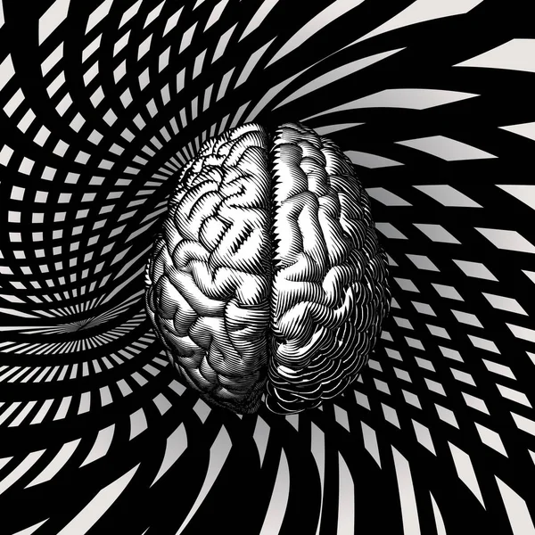Monocromo Grabado Dibujo Cerebro Humano Ilustración Línea Hipnótica Retro Patrón — Archivo Imágenes Vectoriales