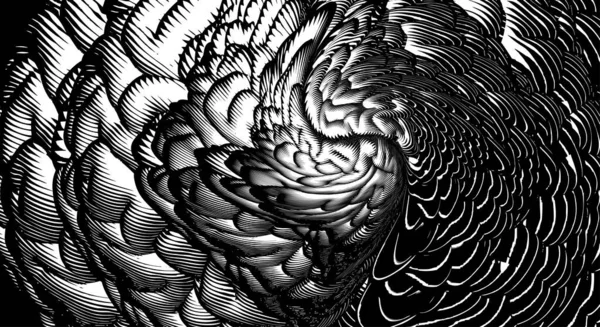 Monochromatické Abstraktní Ryté Kreslení Čára Výtvarné Spirály Mozek Nebo Květ — Stockový vektor