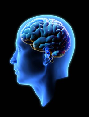 3 Boyutlu rengarenk parlayan beyin çizimi ile insan baş görünümü x-ışını gölgelemesi ölüm için kırpma yolu ile izole edilmiş herhangi bir sanat tasarımı üzerinde birleştirme