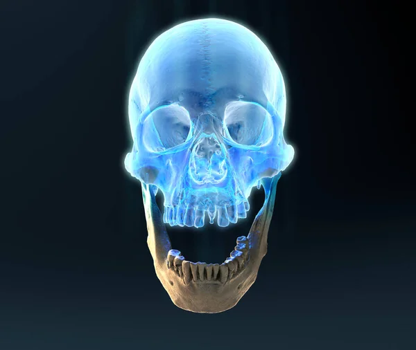 Modré Světlo Transparentní Zářící Křičící Lidská Lebka Vykreslování Přední Pohled — Stock fotografie
