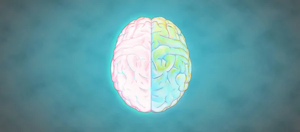 Weergave Kleurpotlood Tekening Menselijk Brein Illustratie Met Links Rechts Cerebrale — Stockfoto