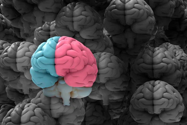 3D rendering illustration human brain hemispheres with left and right cerebral separate in blue and pink color stand out from a lot of many monochrome black and white brains background with clipping path