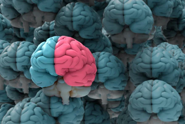 Ilustração Renderização Hemisférios Cerebrais Humanos Com Cérebro Esquerdo Direito Separados — Fotografia de Stock